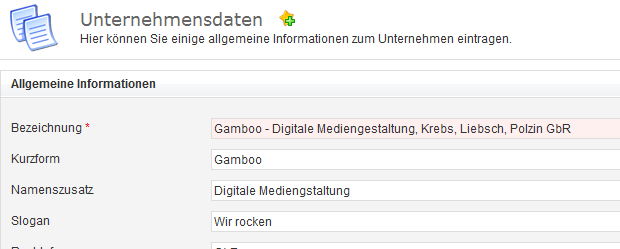 Abbildung: Unternehmensdaten
